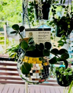 Disco Ball Plant Hanger